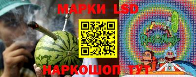 гашик Донской