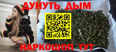 гашик Донской