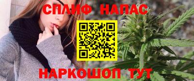 гашик Донской