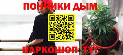 гашик Донской