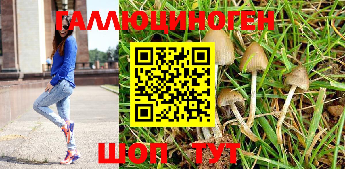 Псилоцибиновые грибы мухоморы  Вход с VPN  Нижний Новгород 