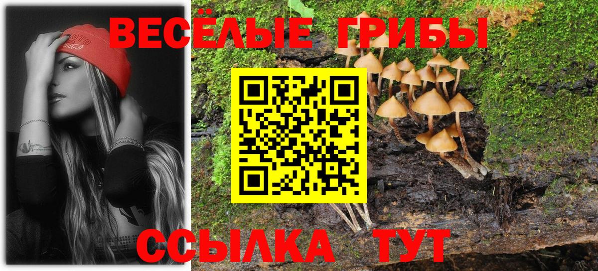 Меф кристаллы  Вход с VPN  Лсд 25  MDMA  КЕТАМИН  NBOMe  МАРИХУАНА  ЭКСТАЗИ  Где найти наркотики?  ГАШ  ГАШ  Нижний Новгород  Cocaine 